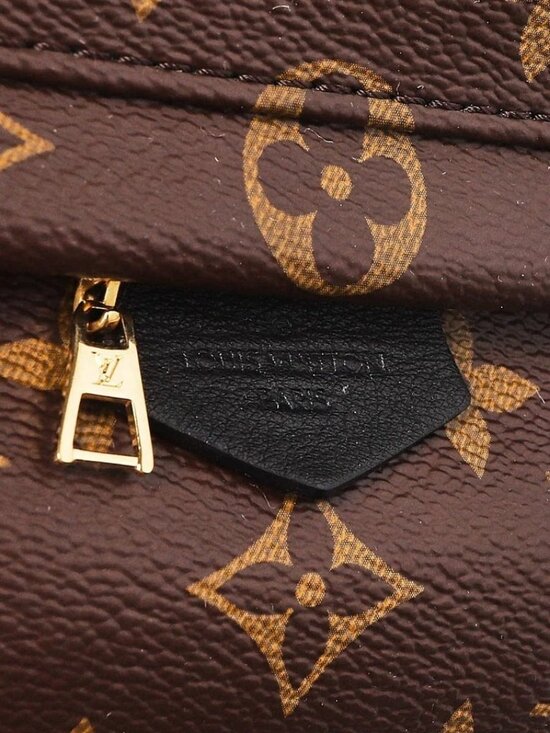Louis Vuitton Monogram Canvas Palm Springs Mini Backpack Bag main image 7